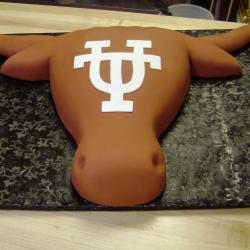 Groom's Cake 15- Texas Longhorn